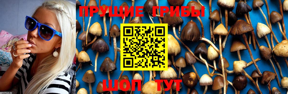 Галлюциногенные грибы Magic Shrooms  Вход с VPN  Псилоцибиновые грибы мицелий  Приморско-Ахтарск 